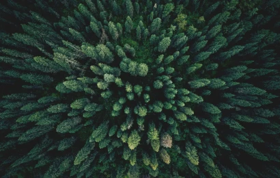 LA PRÉSERVATION DE L’ENVIRONNEMENT, UN ENJEU DURABLE 